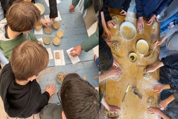 Lernen am anderen Ort - Klasse 6a entdeckt nachhaltige Landwirtschaft im Umwelthaus Pinneberg