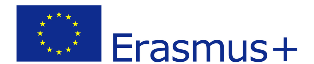 Logo erasmus neu